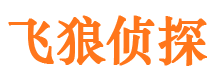 龙江侦探公司